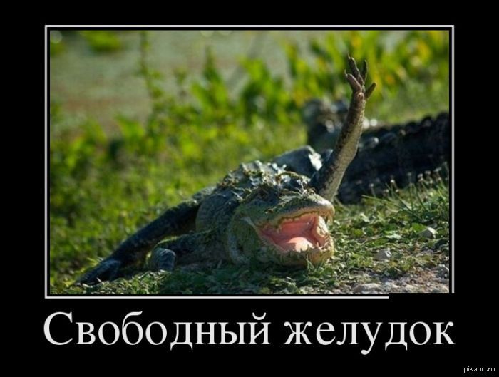 Мак-дак наоборот - Демотиватор, Картинки