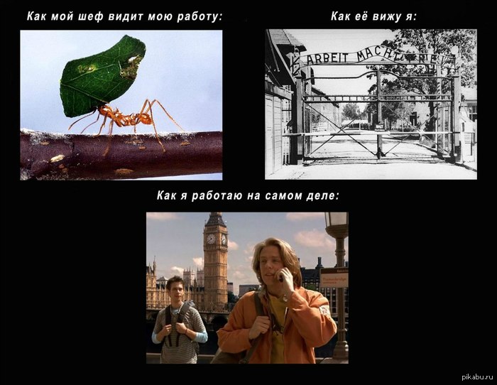 � ������