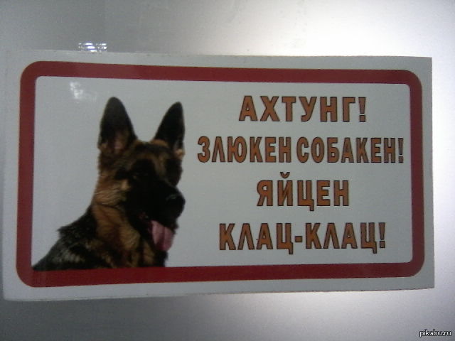 Картинки ахтунг злюкен собакен