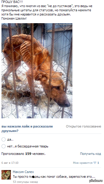 ������ ������������