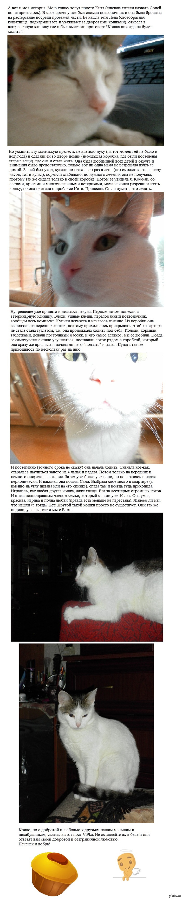  .   : <a href="http://pikabu.ru/story/barsik_1462424">http://pikabu.ru/story/_1462424</a> , <a href="http://pikabu.ru/story/tsena_sostradaniya_1460565#comments">http://pikabu.ru/story/_1460565</a>