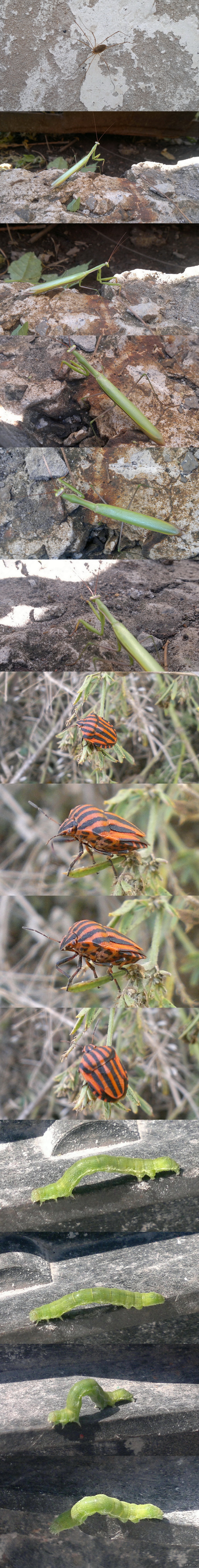 ��������� ���� ����� ��������� �� �������