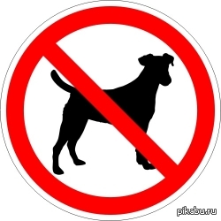     &quot;         &quot;