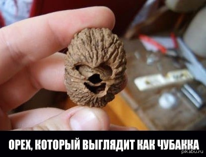 Удивительно | Пикабу
