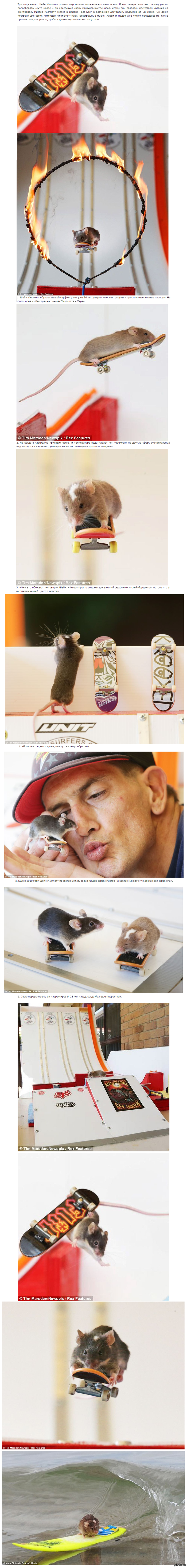 �����-�����������