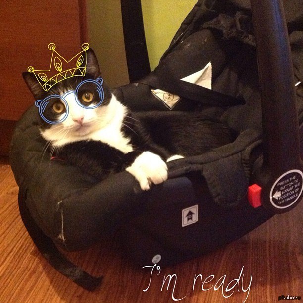 � �����. �������!