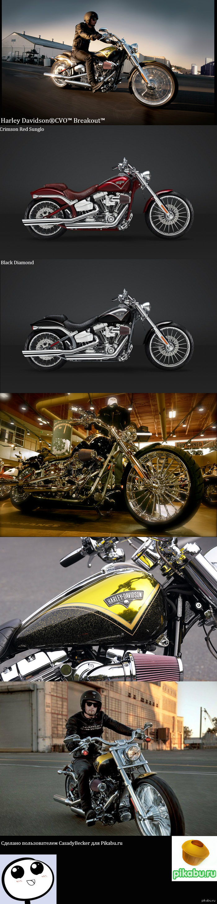 Harley-Davidson CVO Breakout