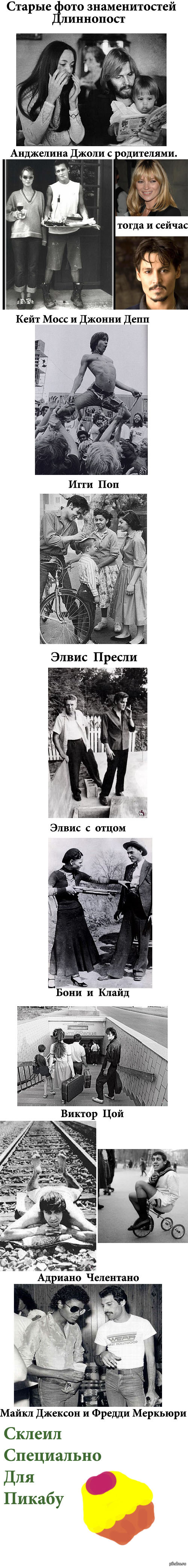 ���� �������������. ����������