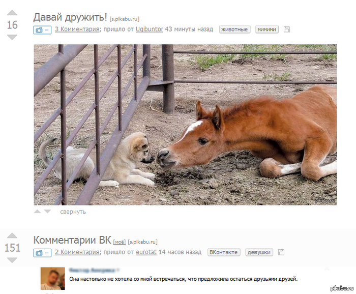 �����������:3