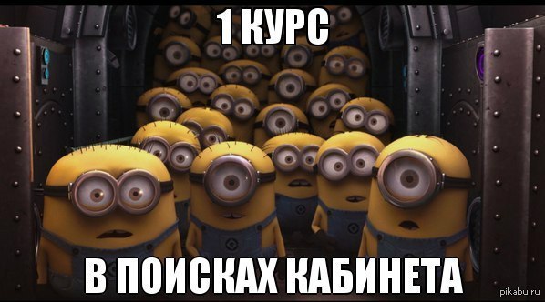 Картинки по запросу первый курс миньоны