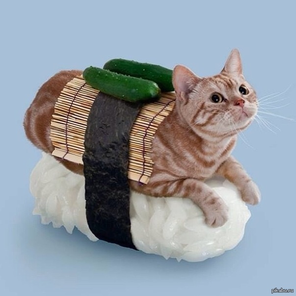 ����-����