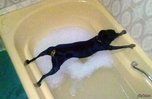 Жить захочешь, не так раскорячишься