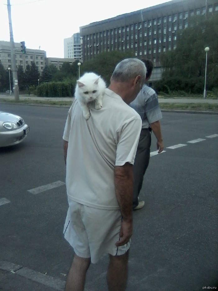 �� ������ ������