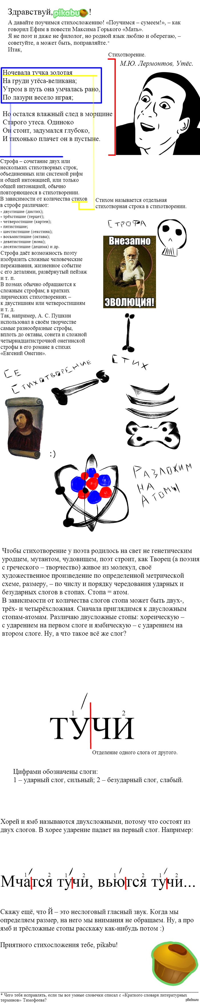 Хорей: стихотворный размер и примеры стихов