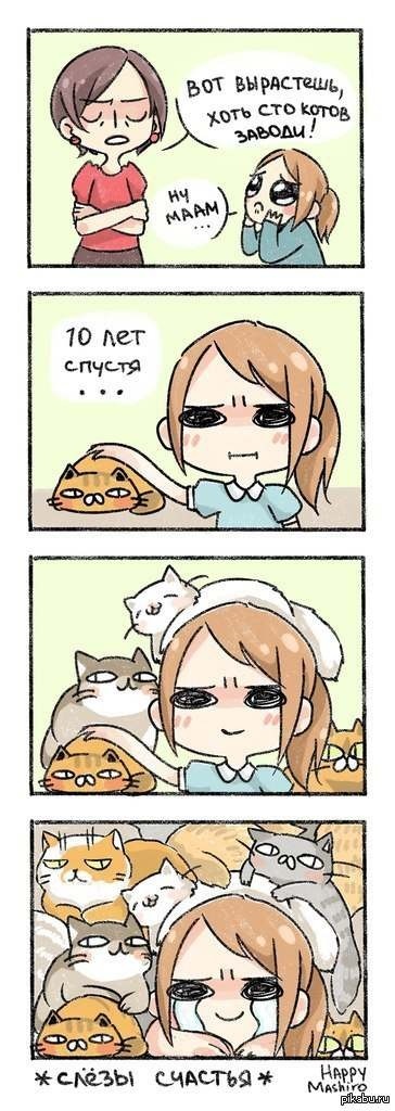Любителям котов) | Пикабу