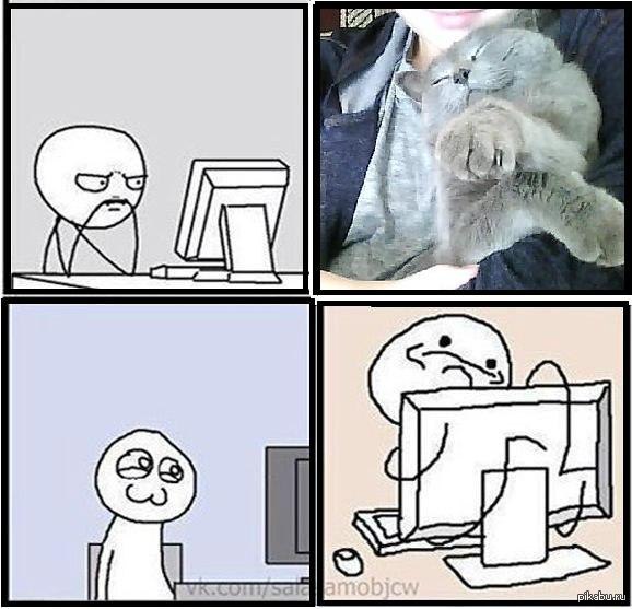 Котики | Пикабу