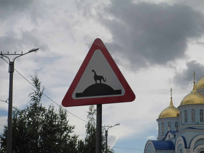 Осторожно, динозавры!