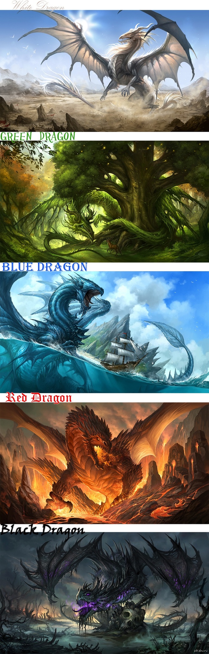 Dragons | Пикабу