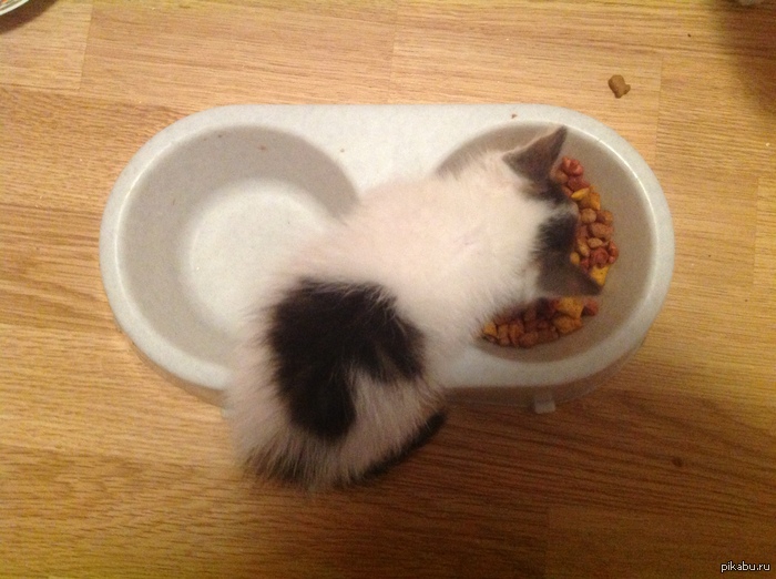 ������,�� ��� ��������� �������.���� ��� ������������� ������.6 ������� � 1 �������.����,��������.������� ��� ������� �����������.