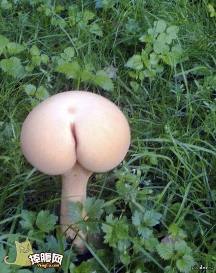 �� �� ��� �������!