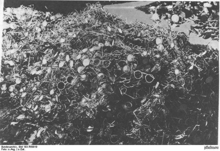 Очки убитых в Освенциме