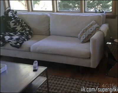 �������� ����� ������������ ������:D