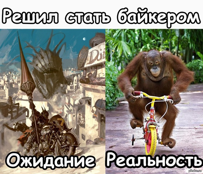 ������� �����������