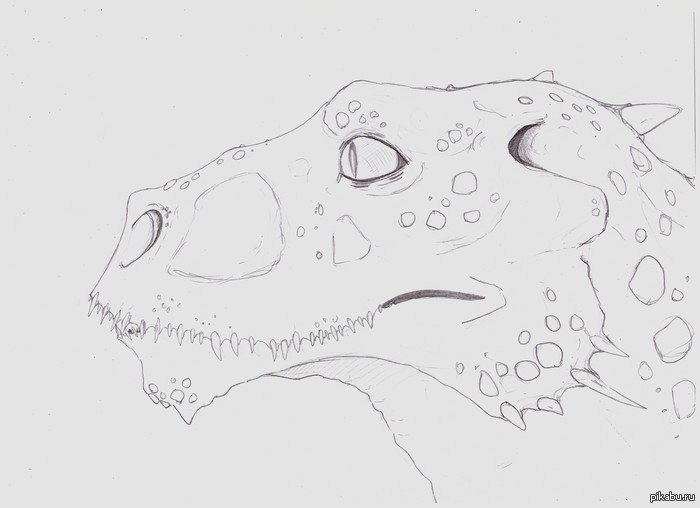 �������� �����