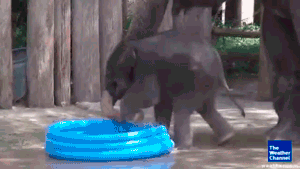 � ��� ����� ����)) ��� ������  30