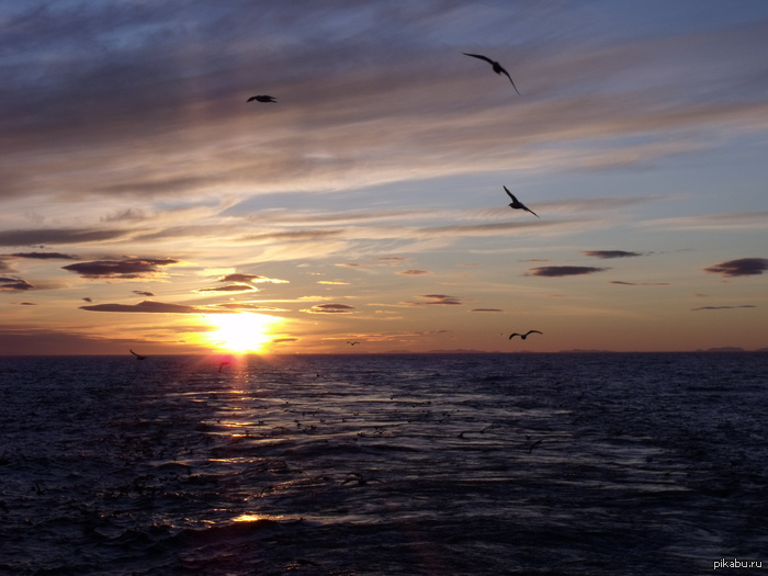 ��������� �������