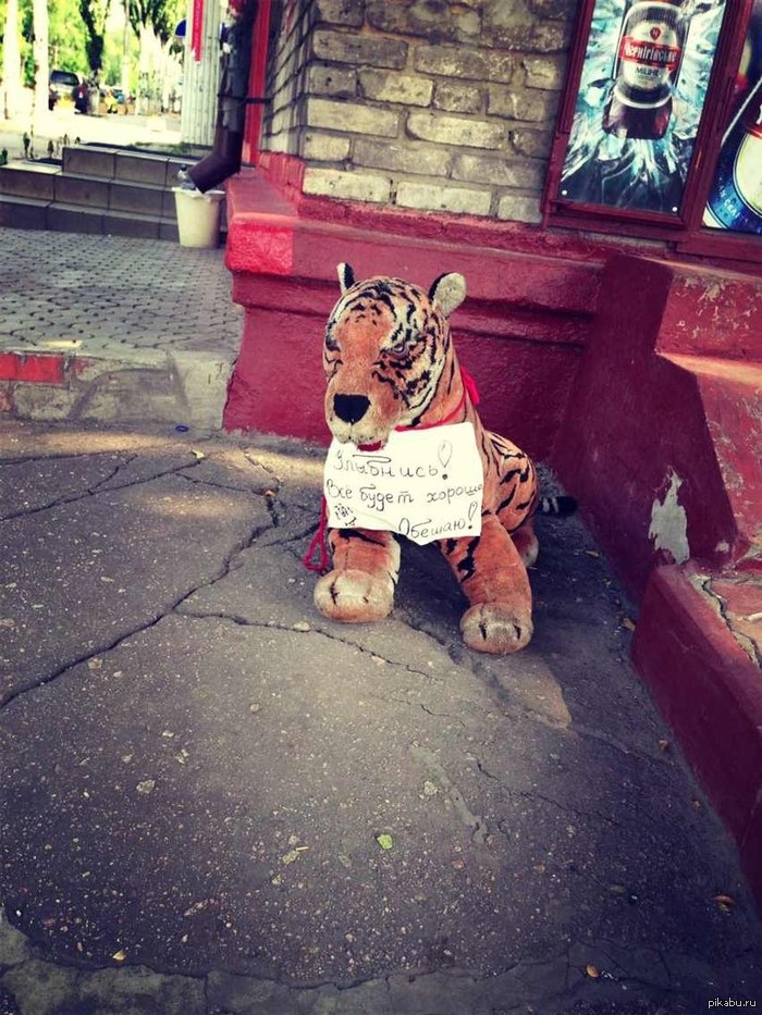 �������� �����