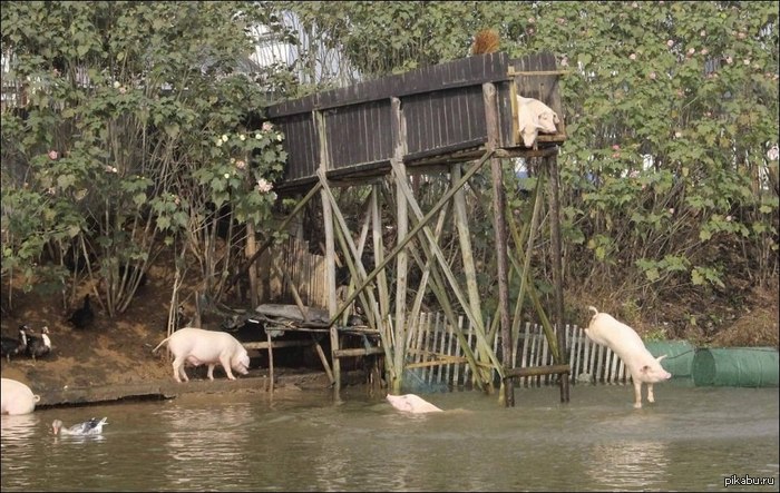 ����� �� ������