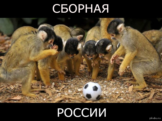 It seems to me similar. Well, in the game with the Irish for sure ... - Football, Russian team