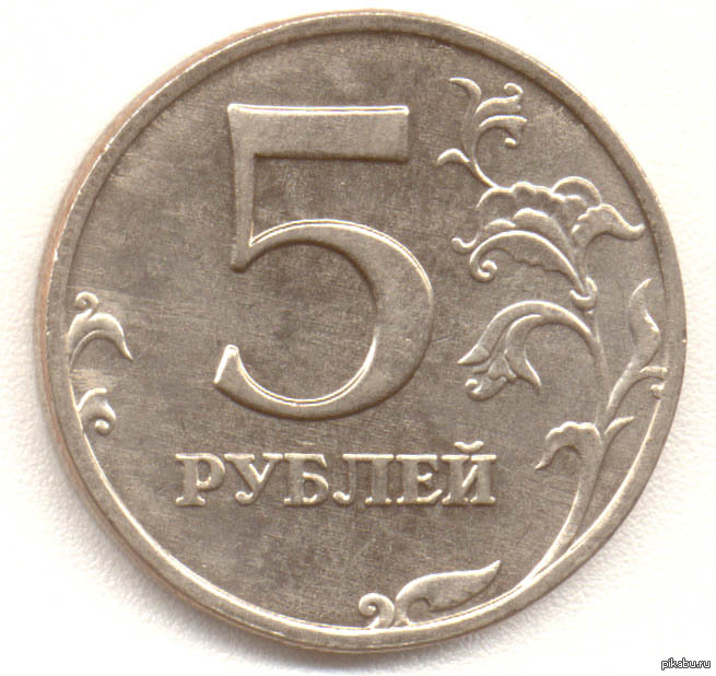 Фото 5 На 10 Дней