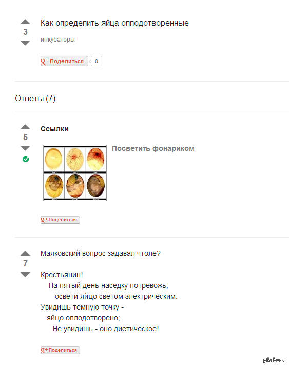 ���������� �� Google-��������