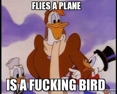 He flies on an airplane, although a fucking bird. - Bird, Pilots