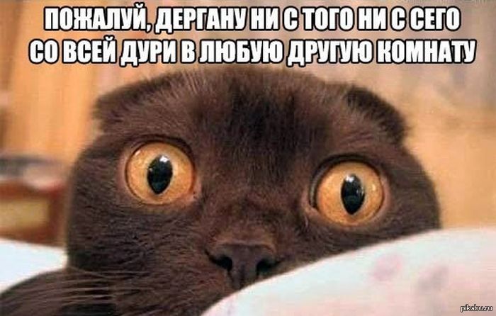 ������ � ���� � ��� ������ ��� ���