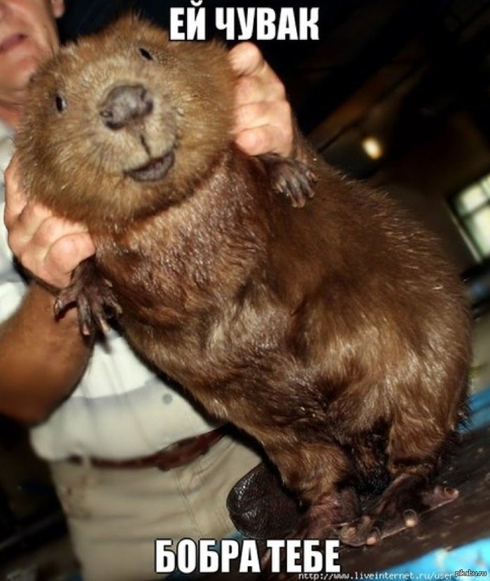 �����-����� ��� :)