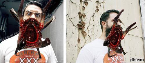 Мне одному эта борода напомнила Головокрабов из халвы