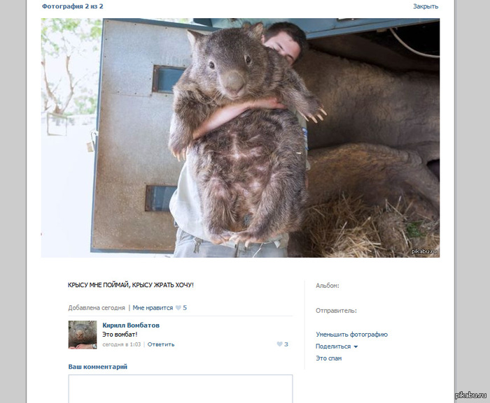 � ��������� ��