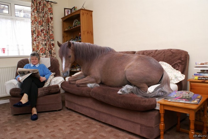 ���� - ��� ������� �����������