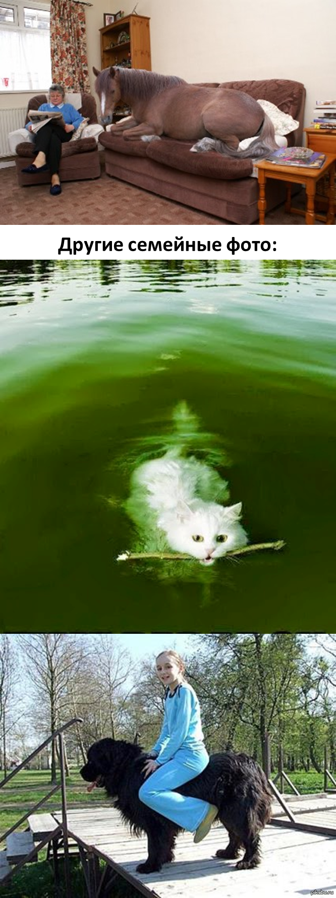 ������ � ��� ��� �������