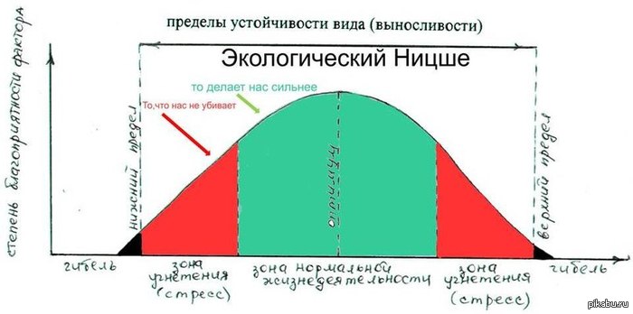 экологический ницше | Пикабу
