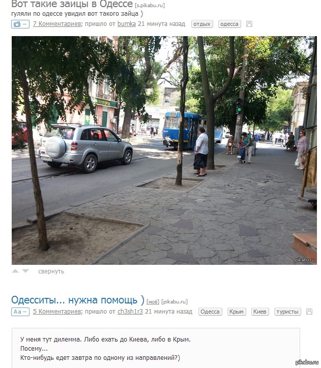 ����������.