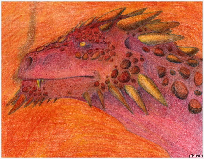 ���� ������