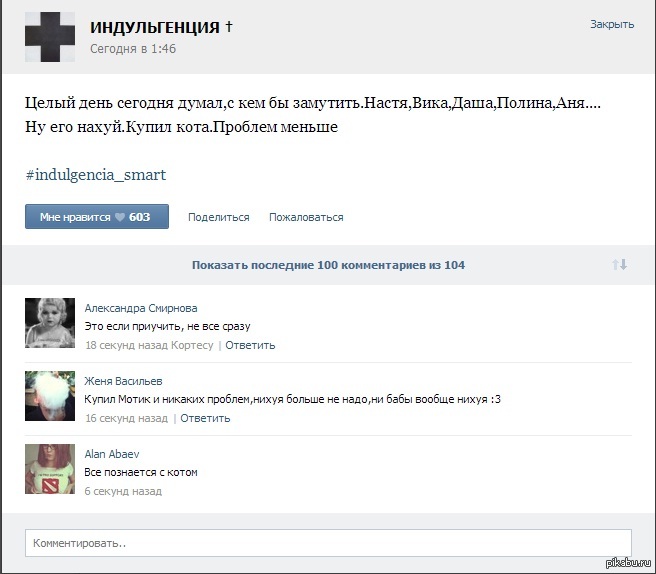 Все познается с котом