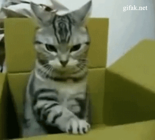 ���-������