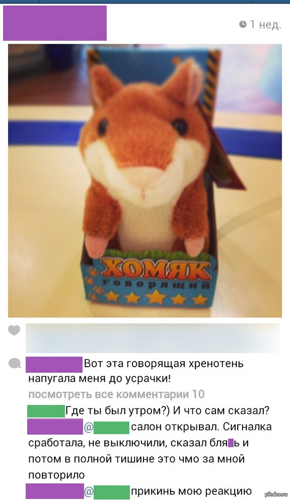 Хомяк | Пикабу