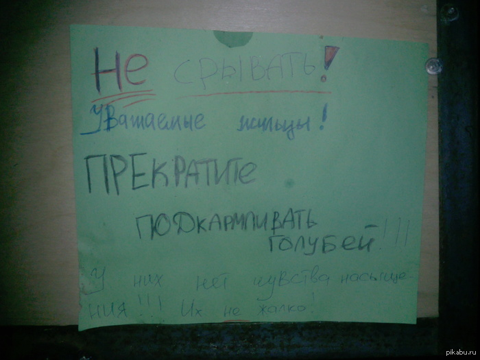  ,     :D 