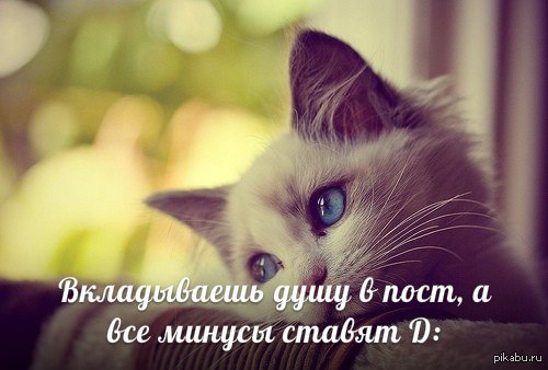 1�� �����